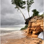 Wilder Strand von Vidzeme