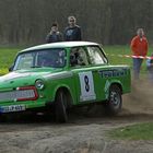 Wilder Trabant