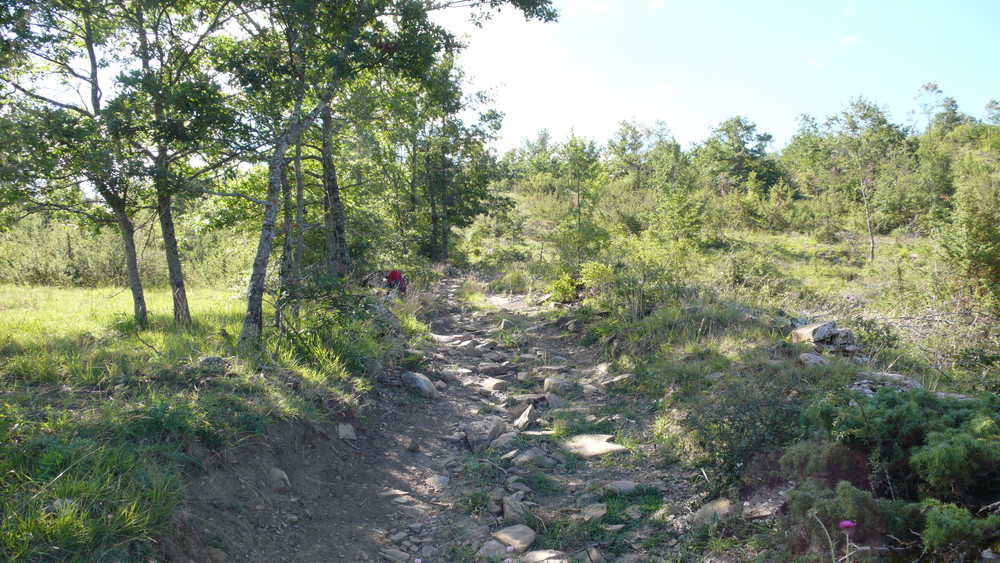 Wilder Wanderweg-Abbruzzen von Amatrice nach Campotosto