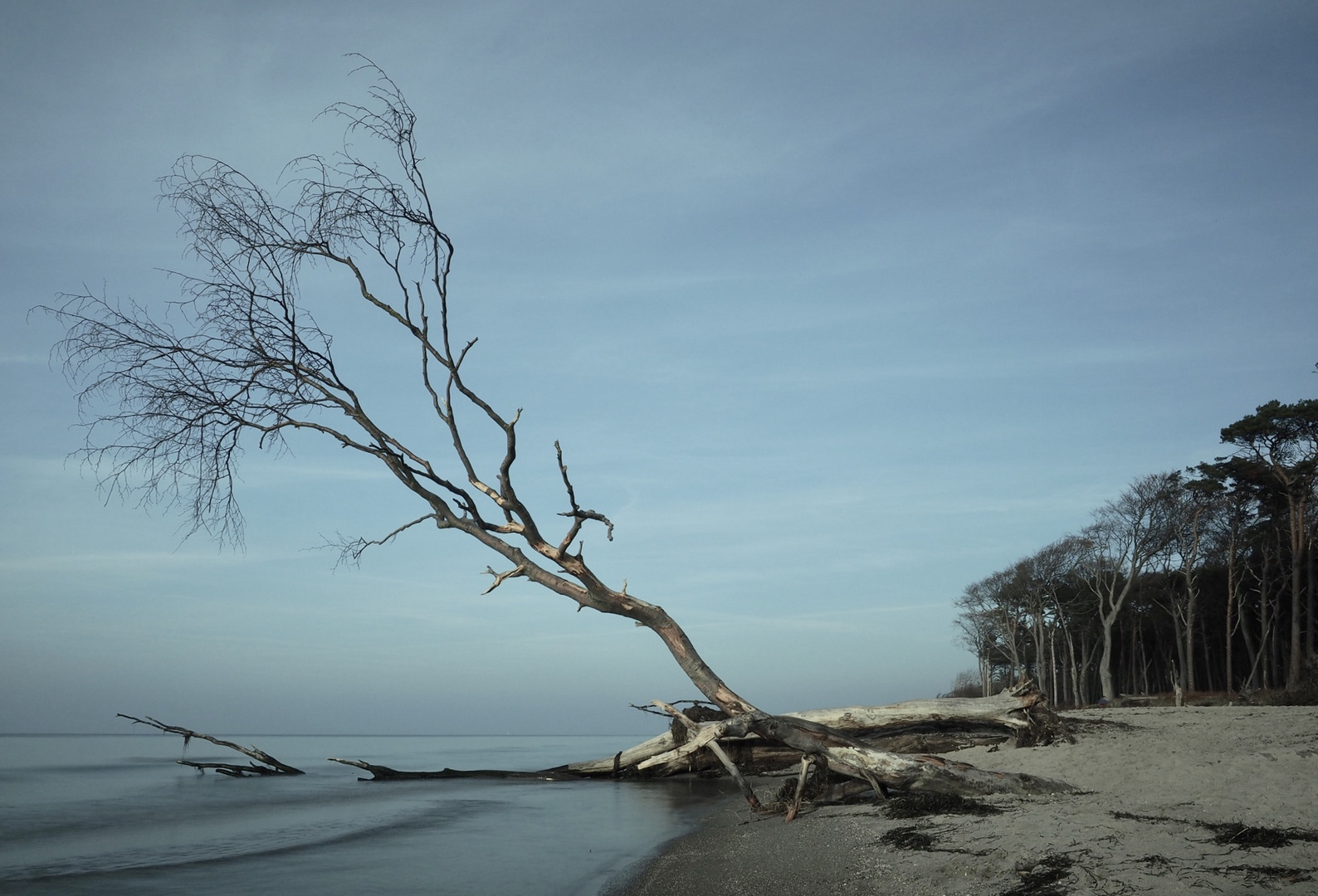 Wilder Weststrand