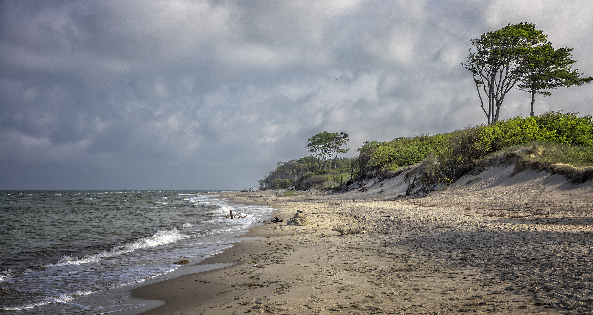 wilder Weststrand  