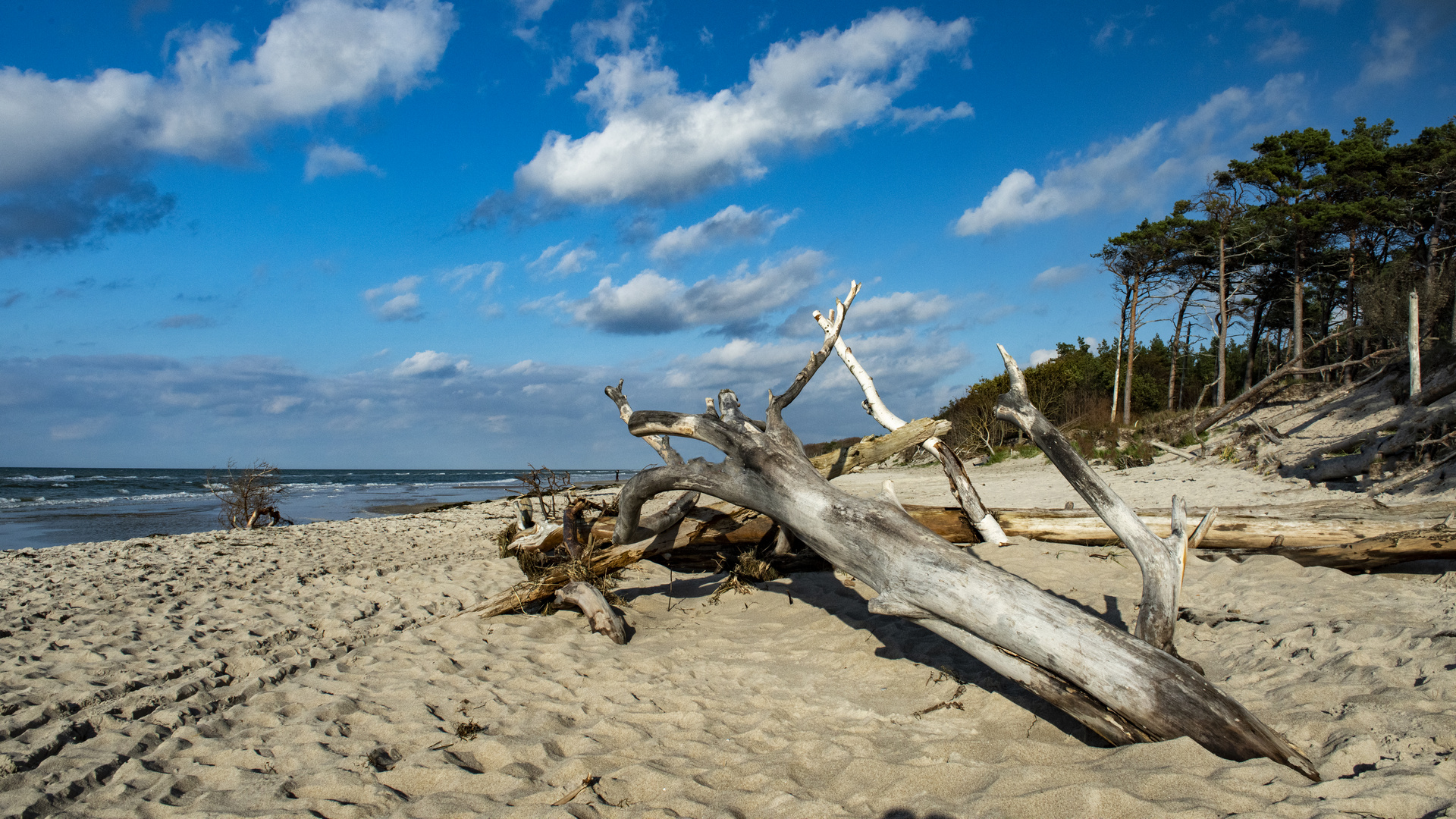 Wilder Weststrand