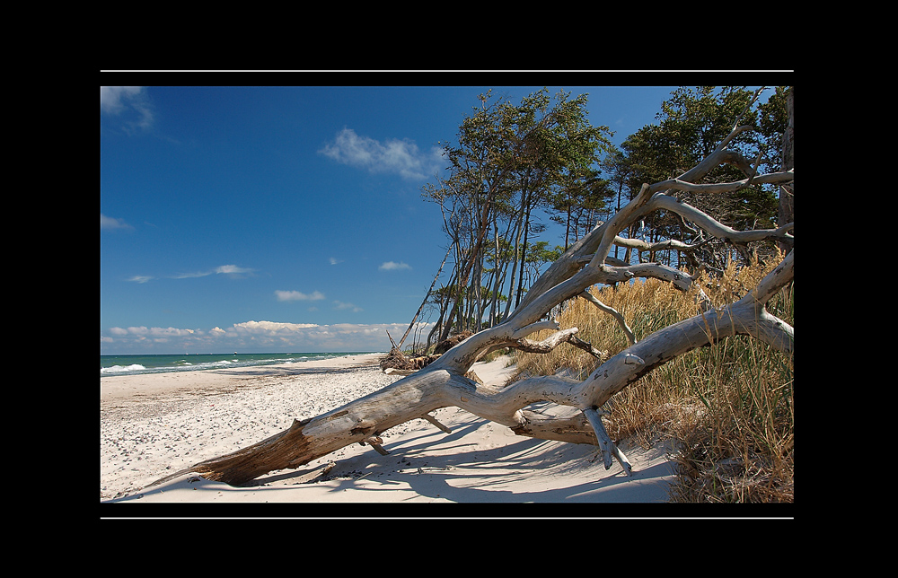 Wilder Weststrand