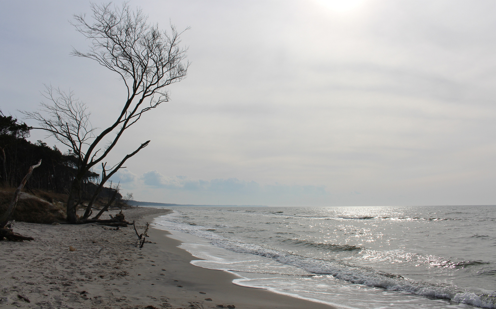 Wilder Weststrand in sanftem Licht