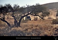 Wilderness Namibia