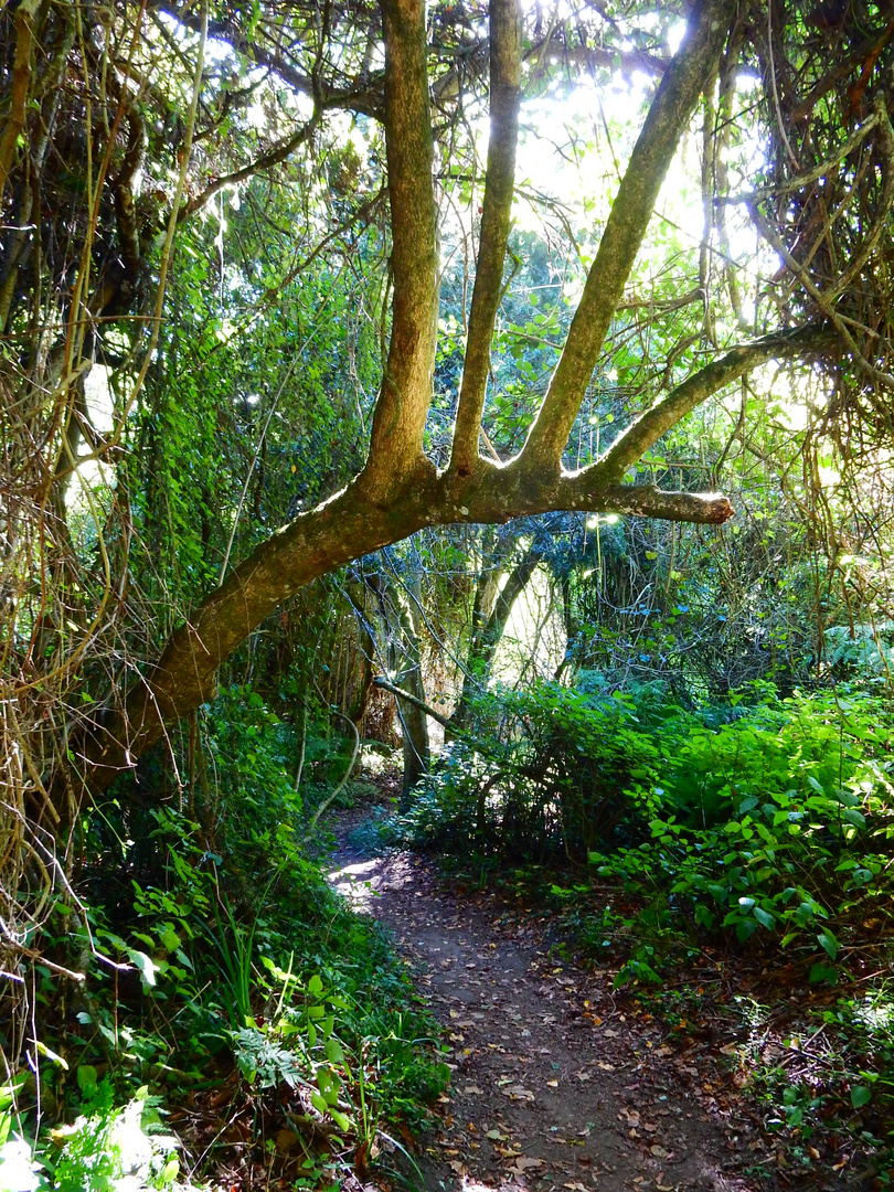 Wilderness National Park