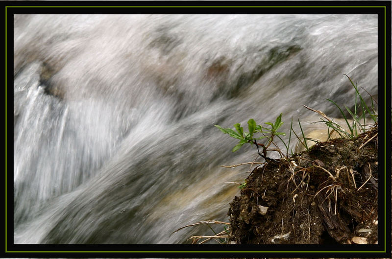 Wildes Bergwasser