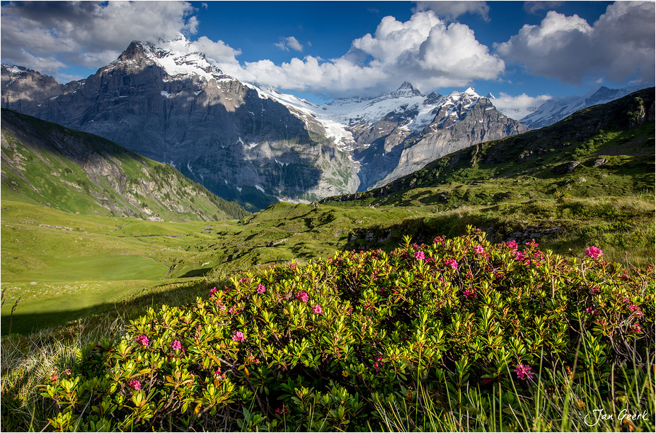 Wildes Berner Oberland