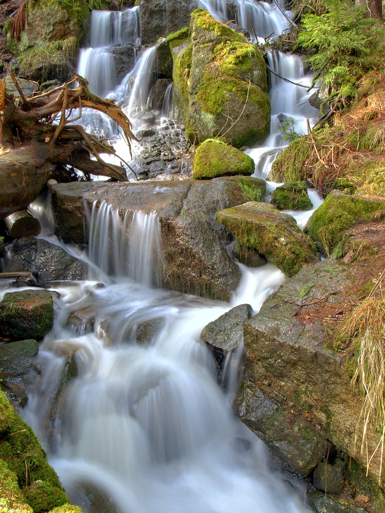 Wildes Erzgebirge