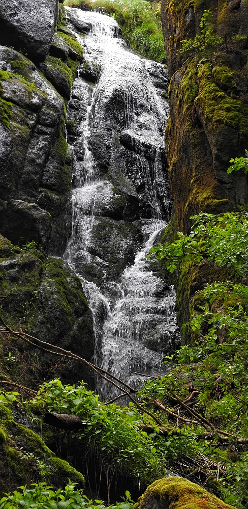 Wildes Erzgebirge