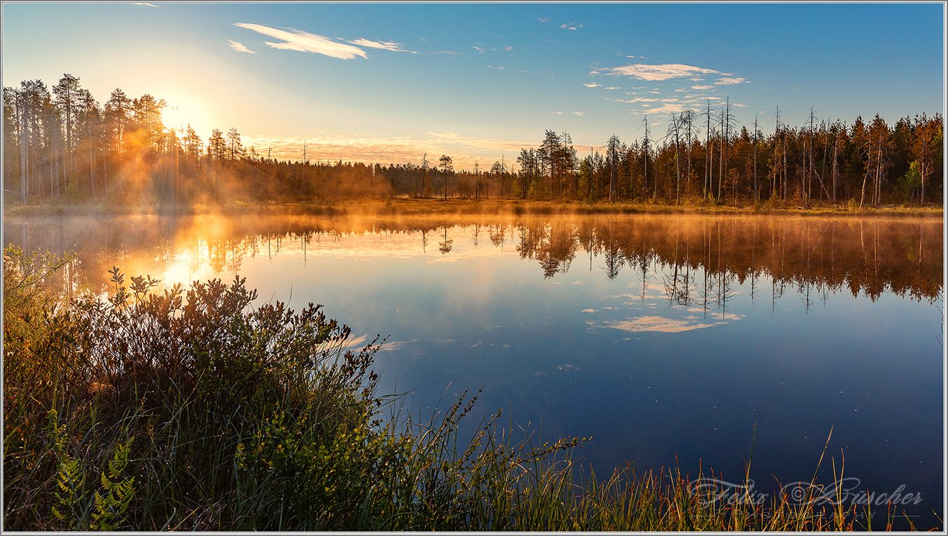 Wildes Finnland