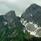 Wildes Gräshorn und Zitterklapfen