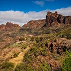 Wildes Gran Canaria