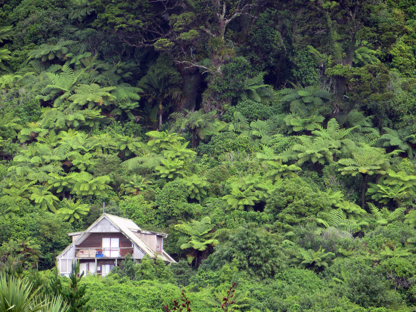 Wildes Land an der Westküste von Neuseelands Südinsel