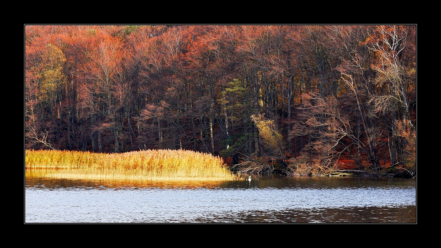 Wildes Mecklenburg...