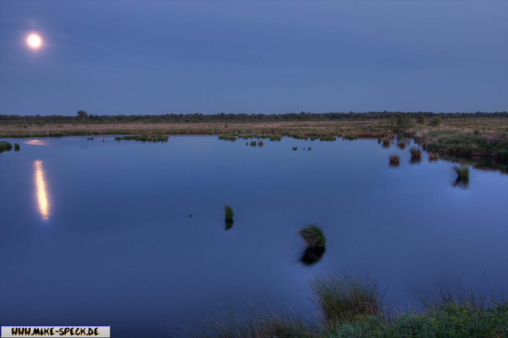 Wildes Moor bei Rendsburg