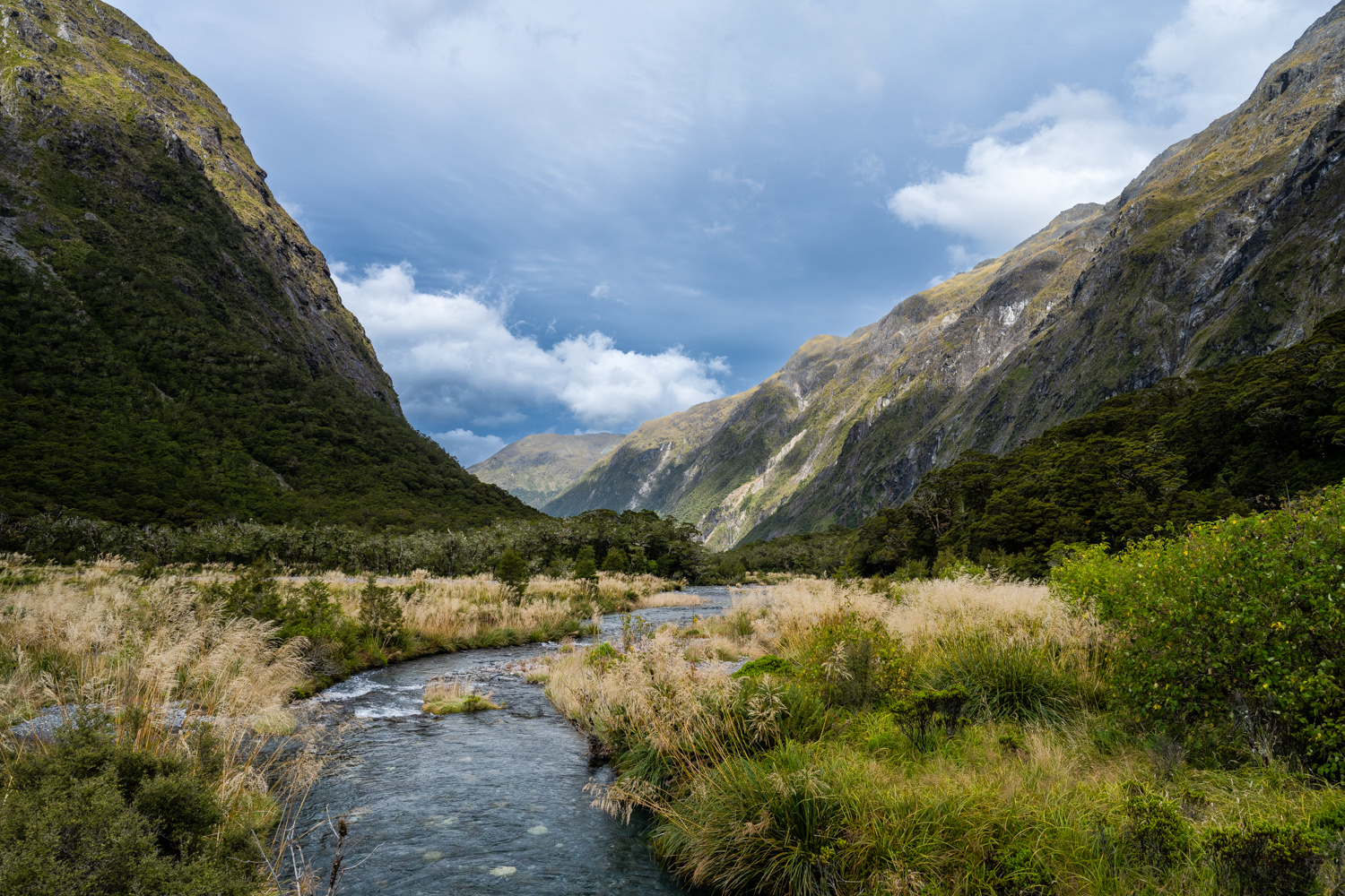 Wildes Neuseeland