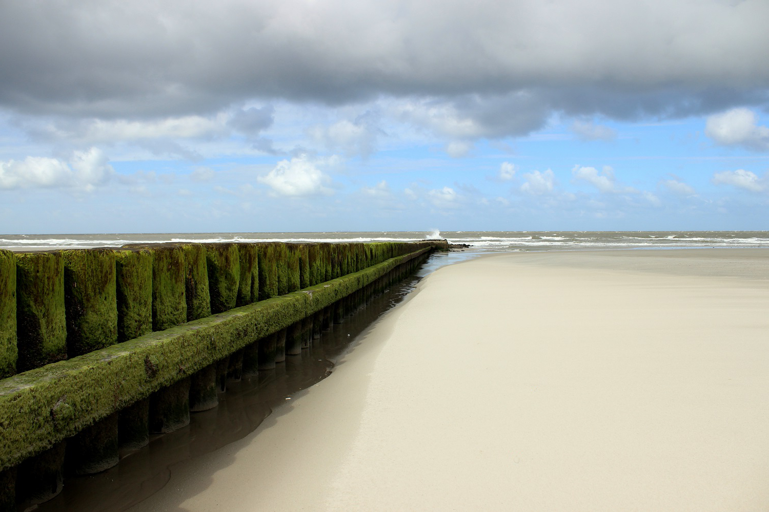 Wildes Norderney