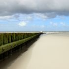 Wildes Norderney