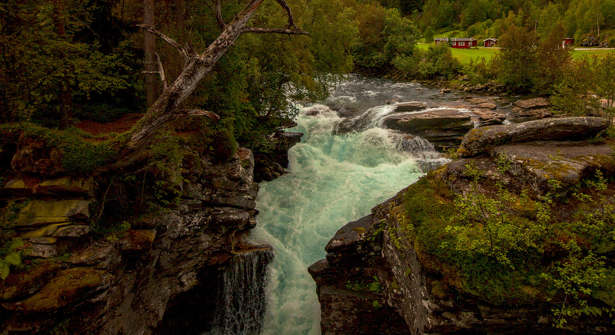 Wildes Norwegen