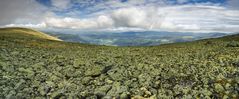 Wildes Norwegen