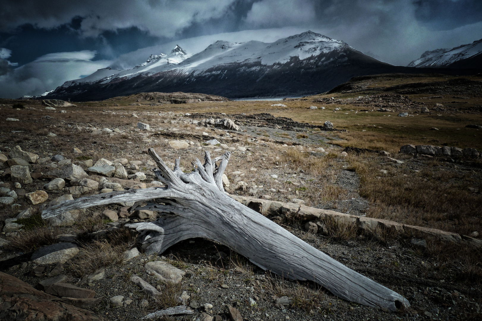 Wildes Patagonien