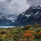 Wildes Patagonien