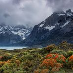 Wildes Patagonien