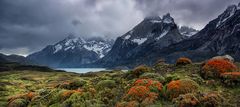 Wildes Patagonien