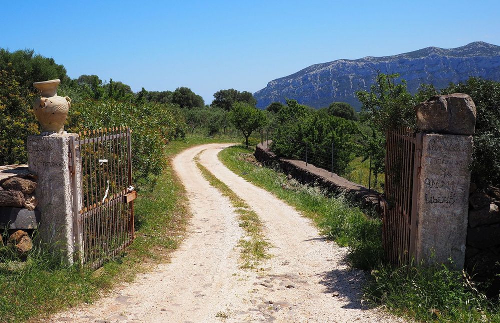 Wildes Sardinien