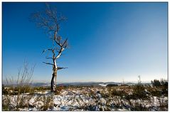 Wildes Sauerland