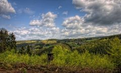 Wildes Sauerland