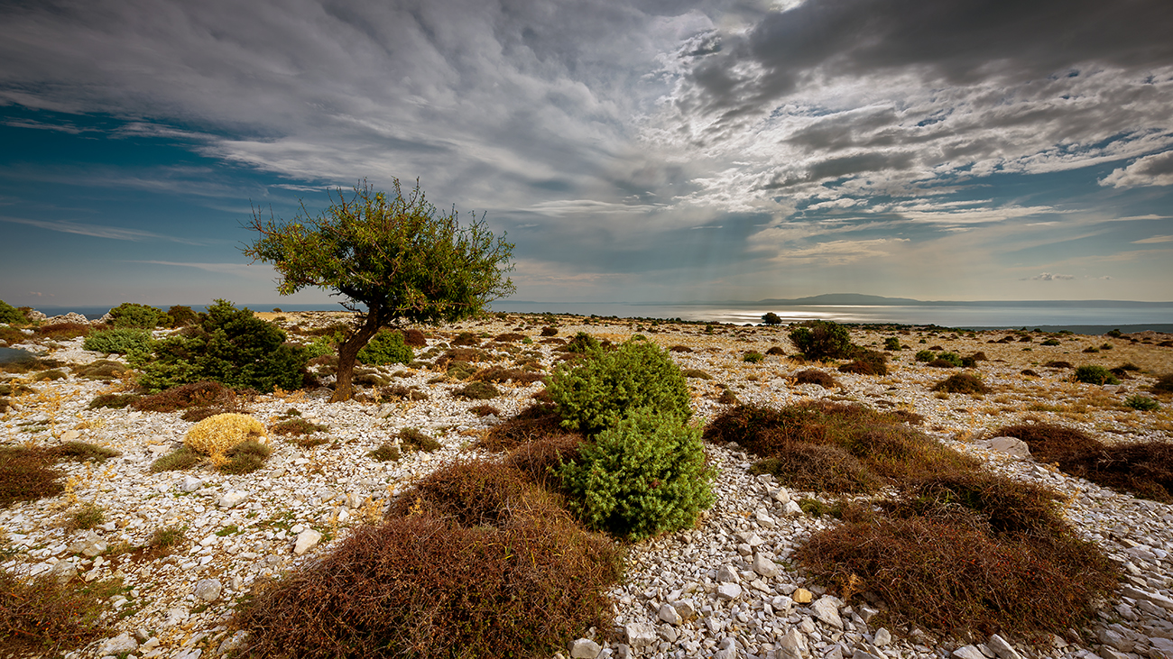 Wildes schönes Kroatien