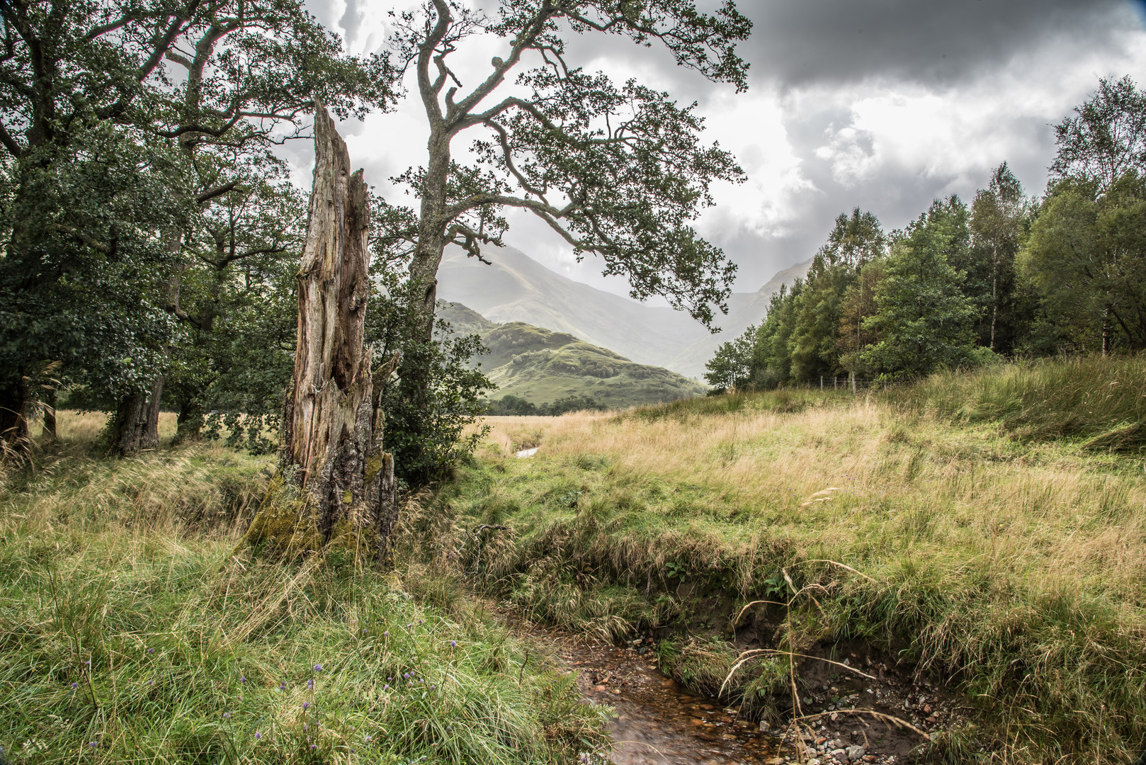 Wildes Schottland - Im Glen Nevis