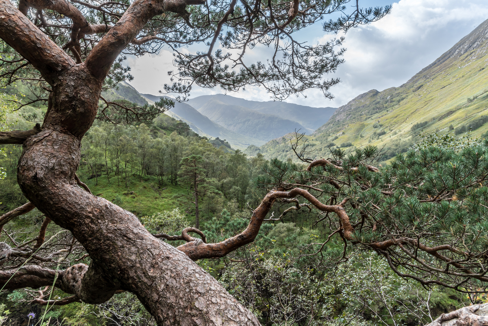 Wildes Tal - Glen Nevis