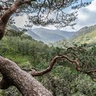 Wildes Tal - Glen Nevis