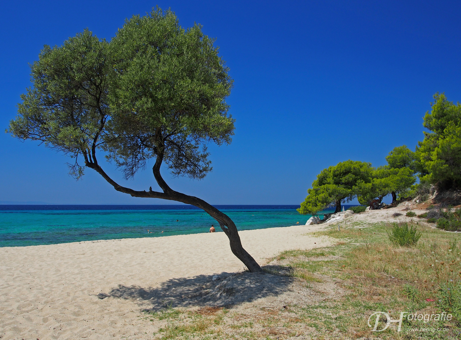 Wildes und schönes Sithonia