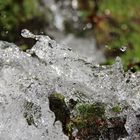 Wildes Wasser 2