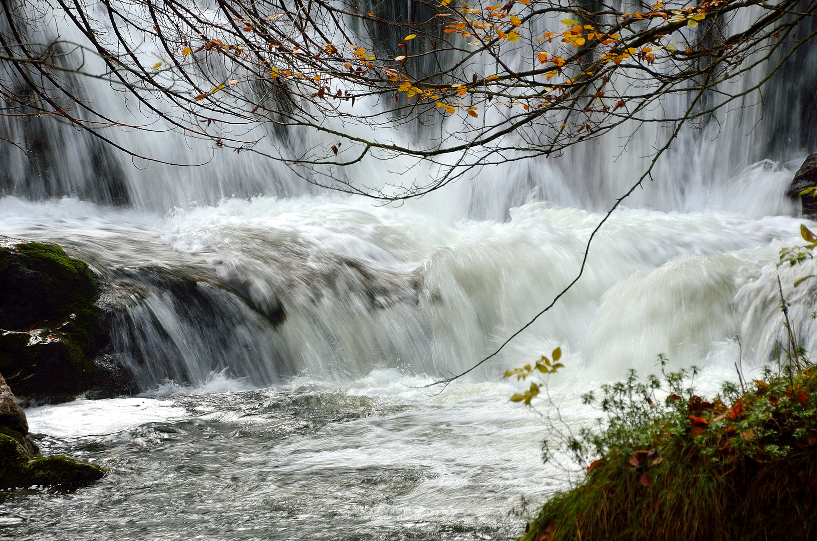 Wildes Wasser