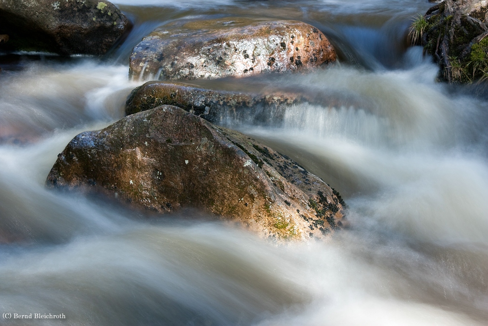 wildes Wasser