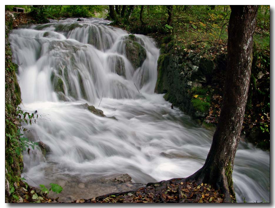 +++ Wildes Wasser +++