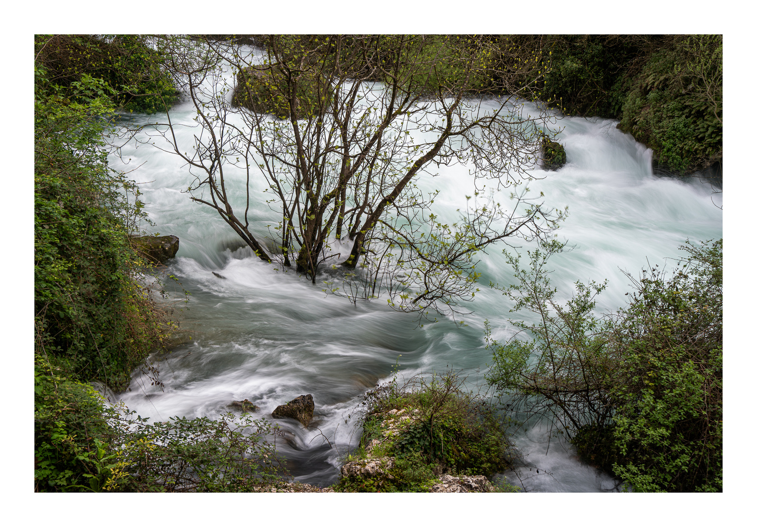 Wildes Wasser