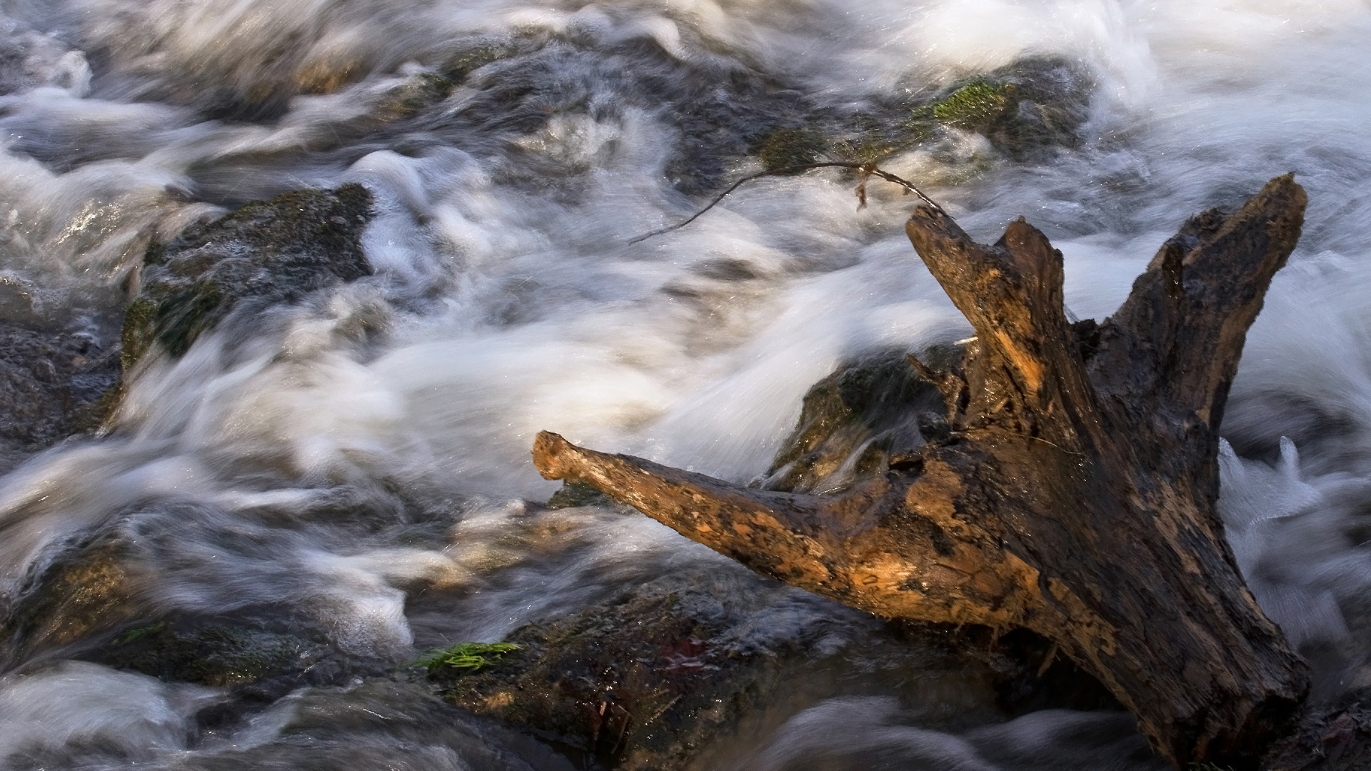 wildes Wasser