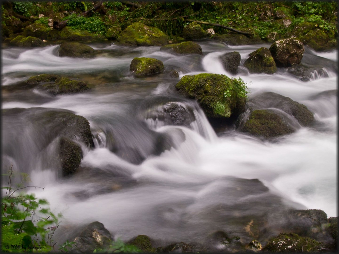 Wildes Wasser...