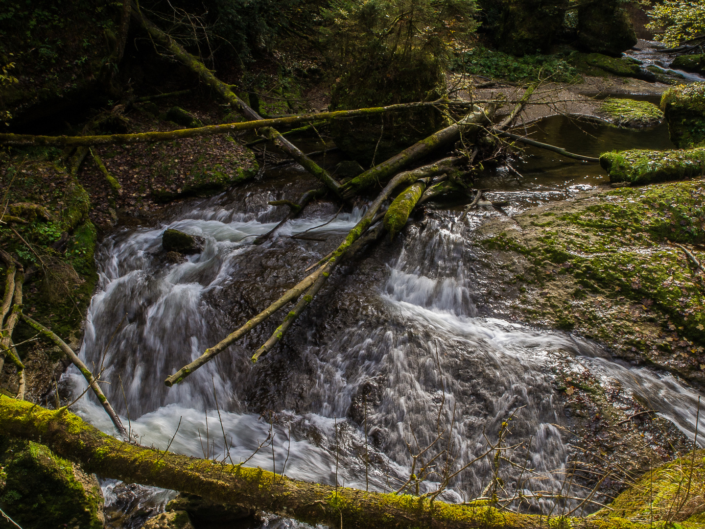 Wildes Wasser