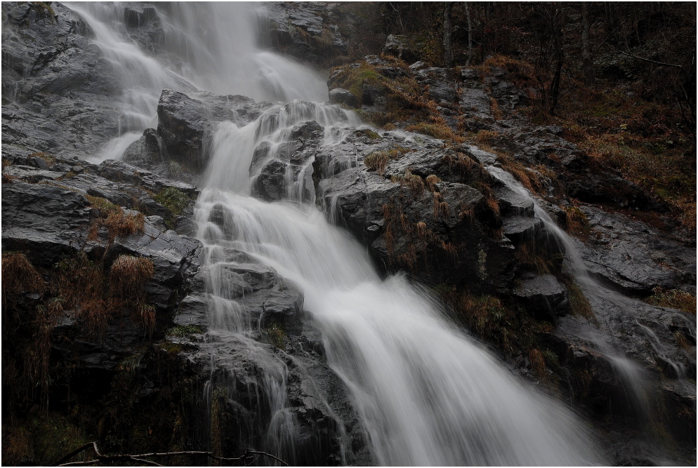 wildes Wasser