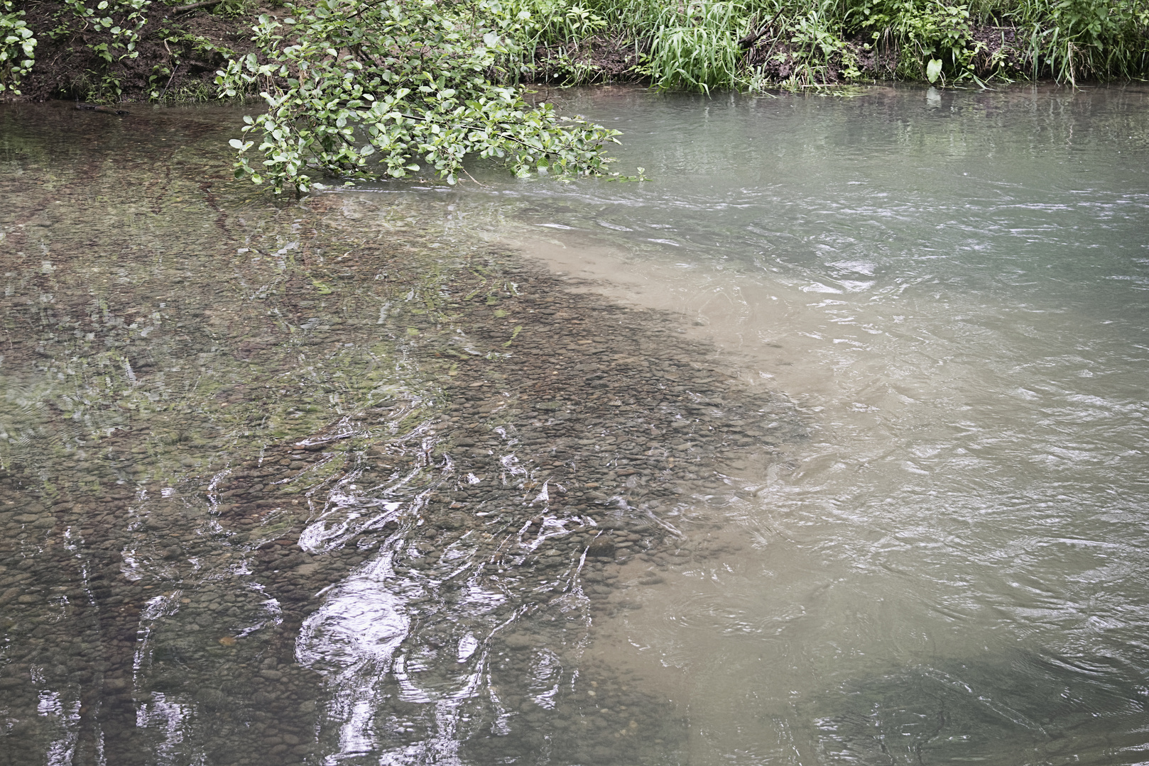 Wildes Wasser am wilden Rhein