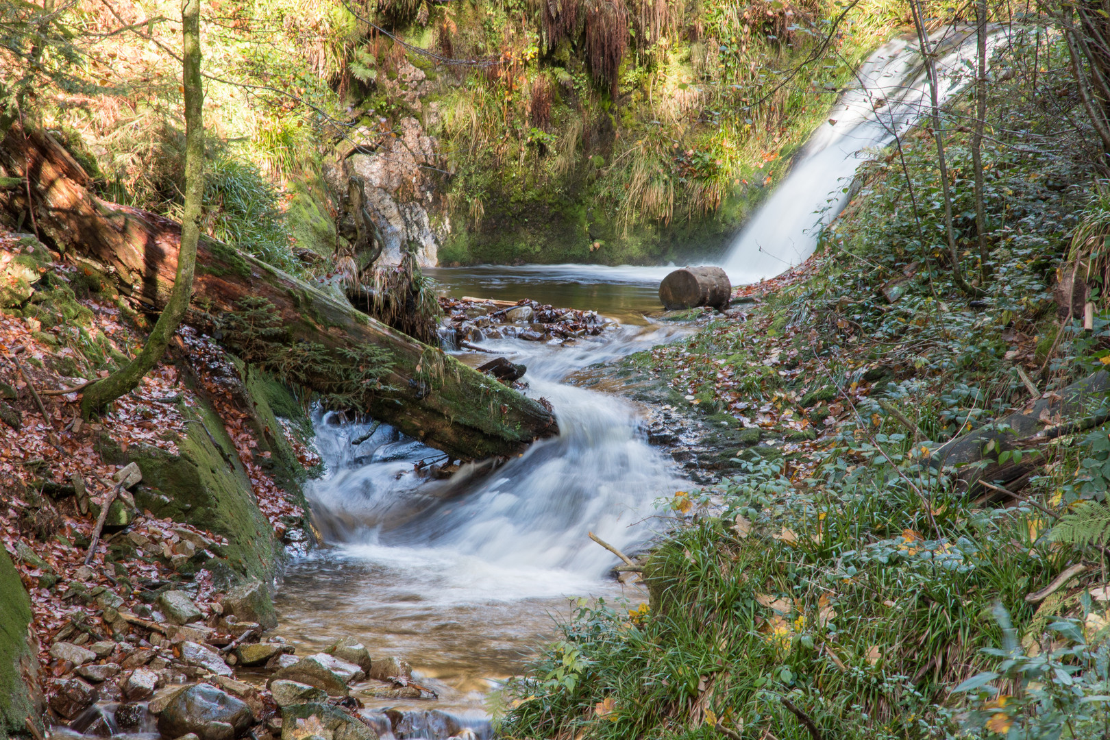 wildes Wasser