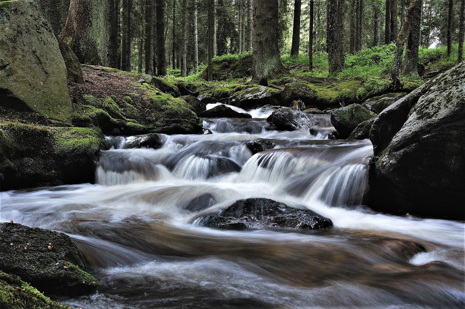 Wildes Wasser