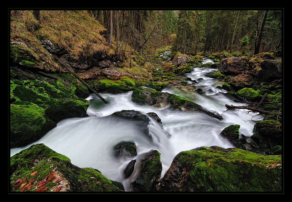 ~~~ Wildes Wasser ~~~